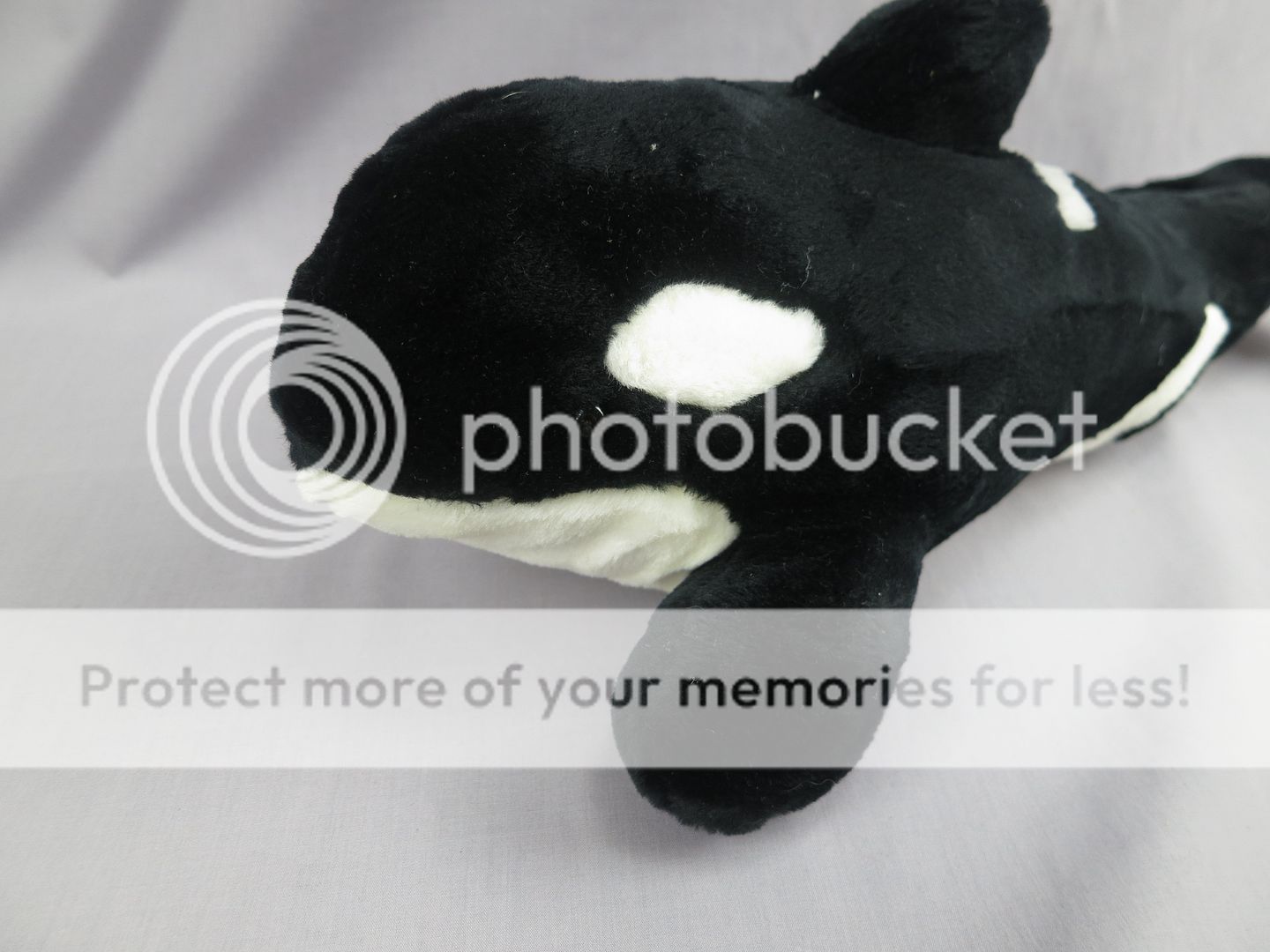 seaworld shamu stuffed animal